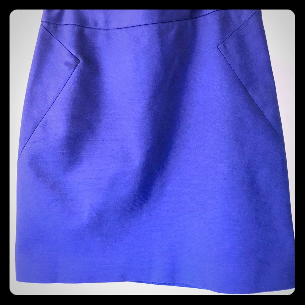 Kate Spade Valentine Skirt